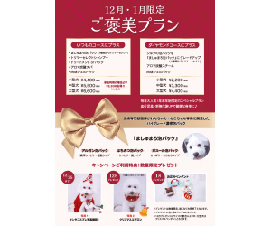 枚方キャンペーン