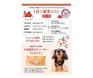 都島キャンペーン